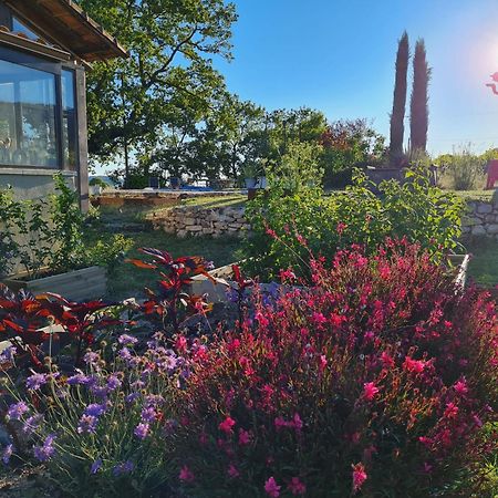 Villa La Fontaine Des Noyers Saint-Saturnin-lès-Apt Exterior foto